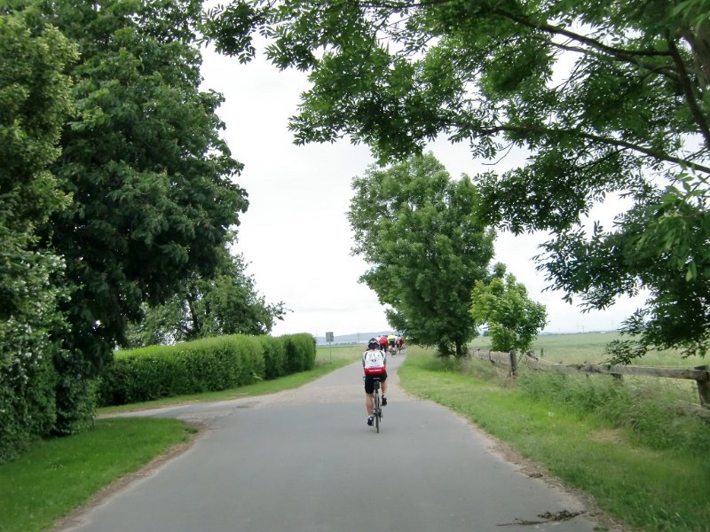 Devese 2010 014